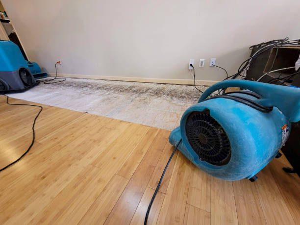 Professional Water Removal technician working in Whiting, IN